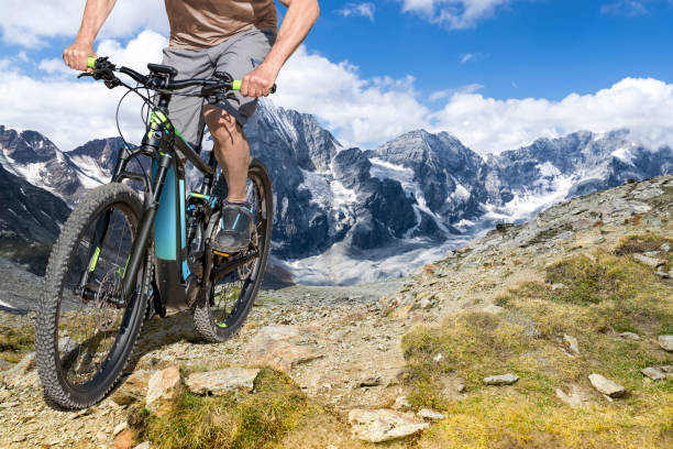 Electric Bikes 